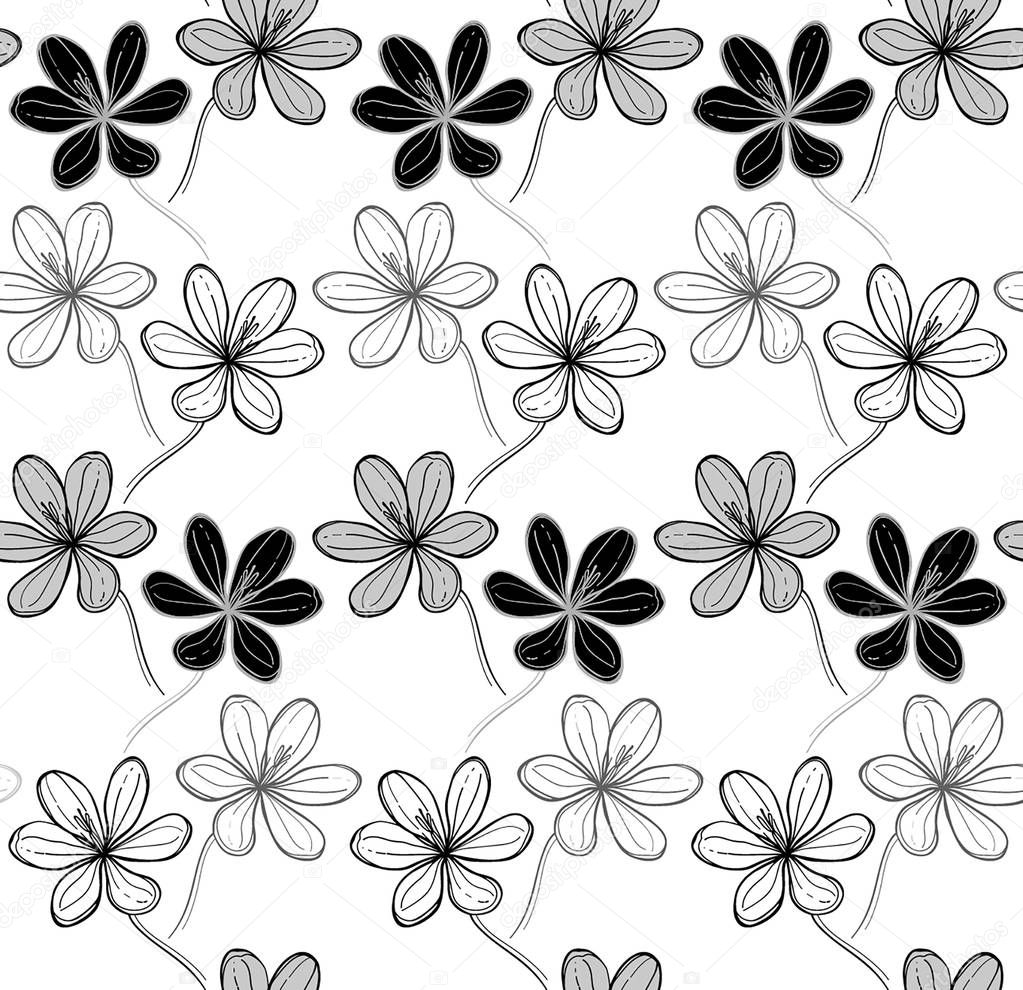 Seamless vector pattern with crocus flowers