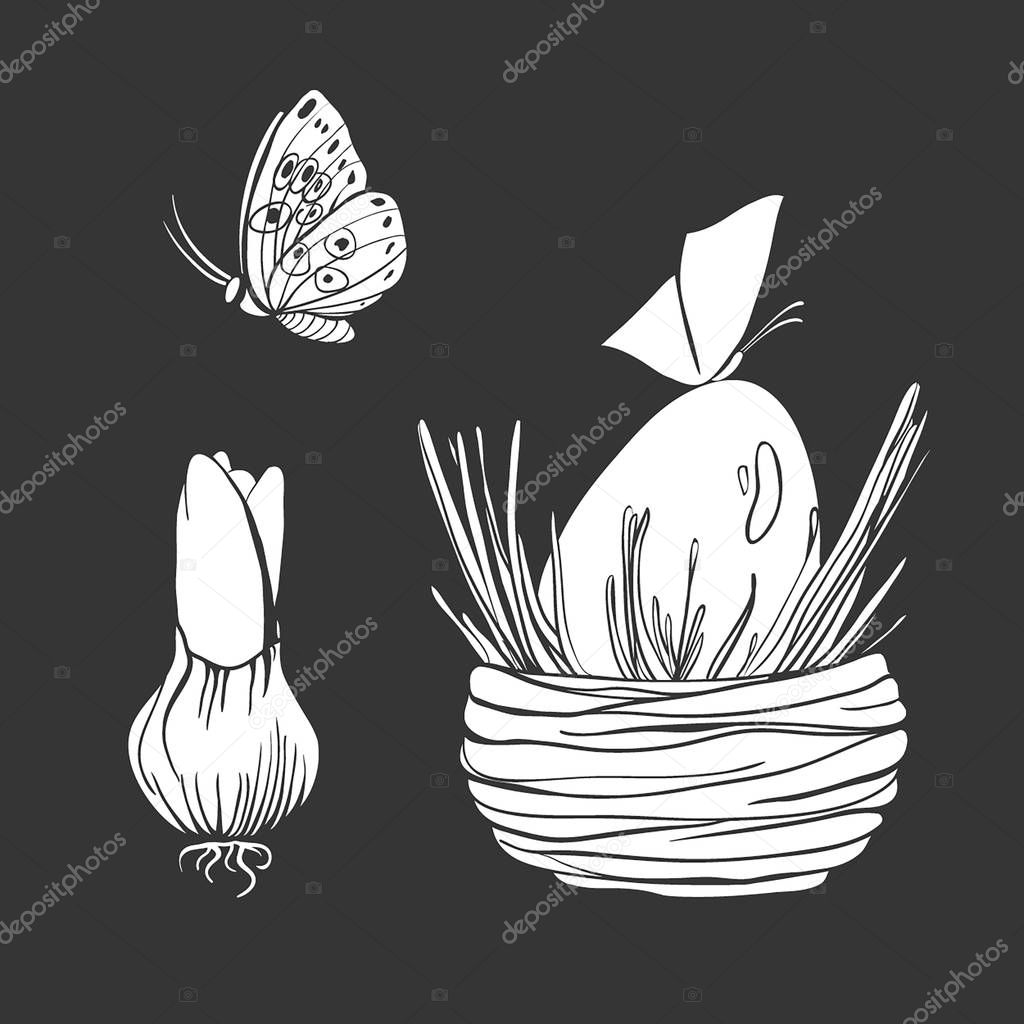 Set of vector illustrations of hyacinthus bulb, butterfly and egg in nest. Spring collection. Easter collection