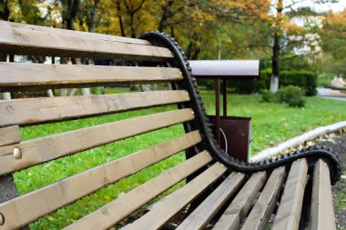 Bir çöp tenekesi bir sonbahar Parkı boş ahşap Bank