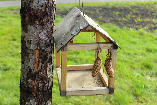 Ein Vogelfutterhäuschen Wiegt Herbst Einen Baum Form Eines Holzhauses Freien — Stockfoto
