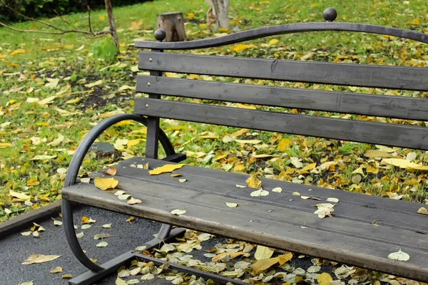 Деревянная Скамейка Городском Парке Осенью Открытом Воздухе — стоковое фото