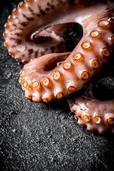 The octopus tentacles food.