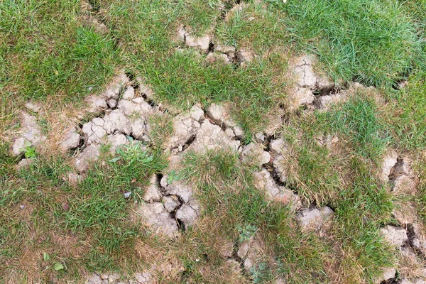 Cracked and parched earth and grass area