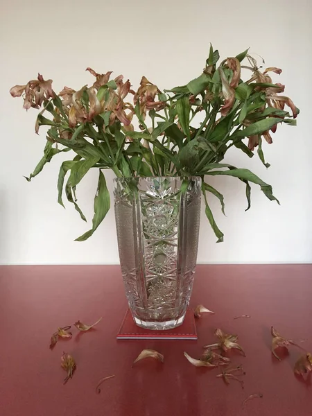 Vase of dead and dying flowers with fallen petals