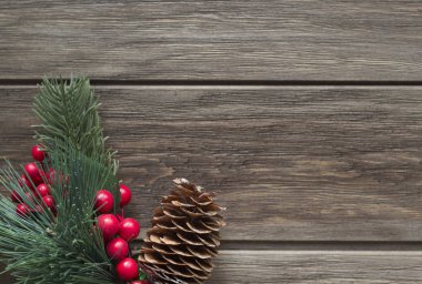 Çamın dalları ve koni ahşap arka plan üzerinde. Düz yatıyordu, en iyi görünüm, kopya alanı