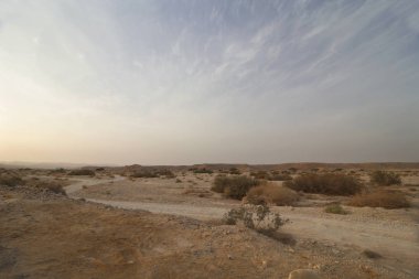 Çölde yol, manzara