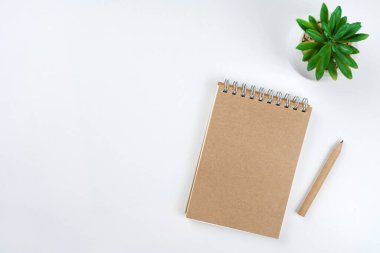 Kağıt, kalem, beyaz arka planda yeşil bitki içeren defter. Çalışma alanı konsepti. Üst görünüm, kopyalama alanı, model, düz uzanma 