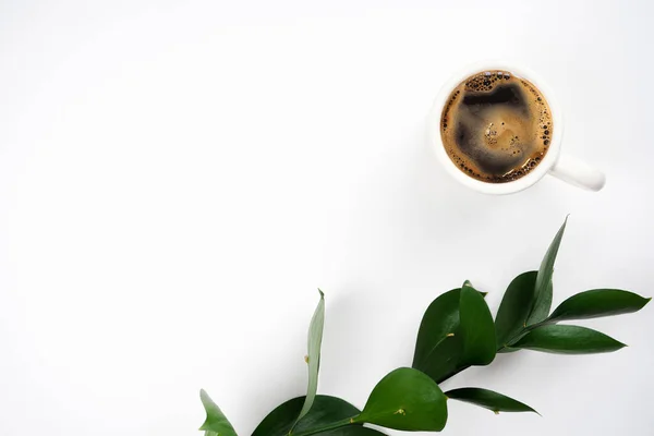 Cup of coffee and green plant branch on white background. Menu, break concept. Top view, copy space, flat lay