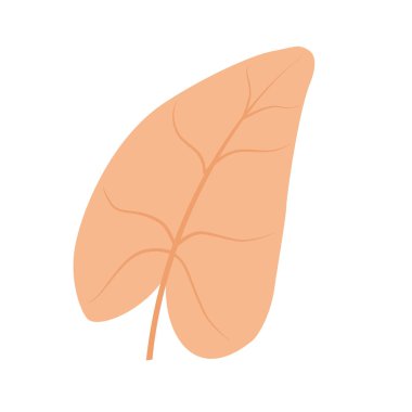 Yaprak soyut illüstrasyon.