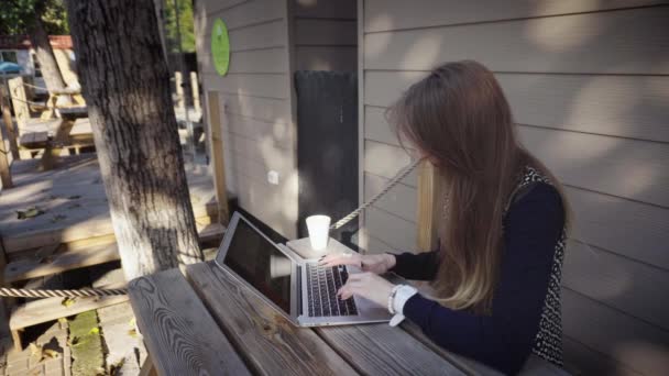 Vrouw te typen op een laptop in de buitenlucht — Stockvideo