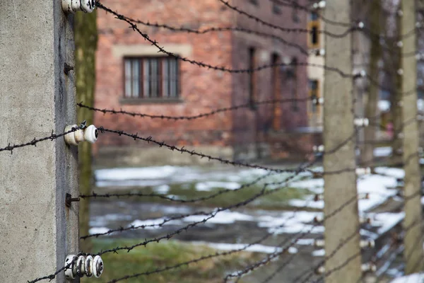 Stacheldrahtzäune Inmitten Trüben Winterwetters — Stockfoto