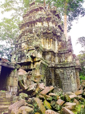Ta Prohm (Tomb Raider) Tapınak, Siem Reap, Kamboçya Eylül 2018