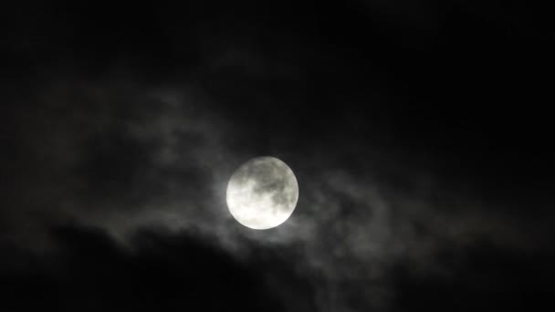 Moon Cloudy Night Sky Close Video — Stock Video