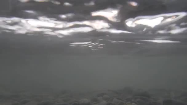 高速川ストリームの水中ビデオ — ストック動画