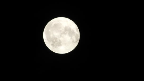 Lune dans un ciel nocturne nuageux. Gros plan vidéo 4k 