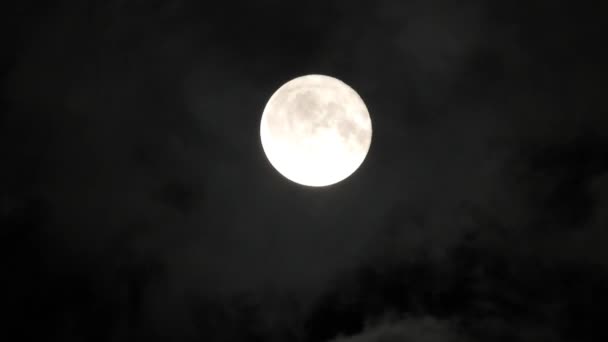 Maan Bewolkt Nachtelijke Hemel Close Van Video — Stockvideo