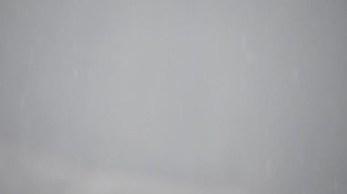 Arka plan, kış saati ağaçta ile şiddetli kar yağışı