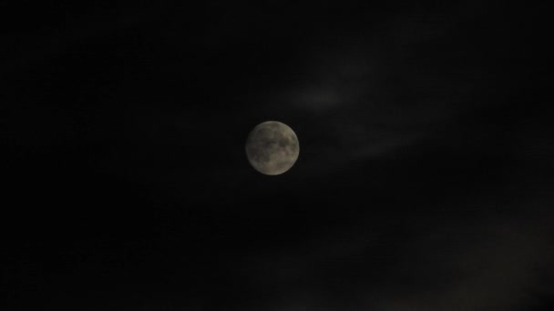 のクローズ アップ 夜ビデオに移動する雲と月します — ストック動画
