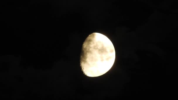 Luna Con Nubes Moviéndose Cielo Primer Plano Vídeo Por Noche — Vídeos de Stock