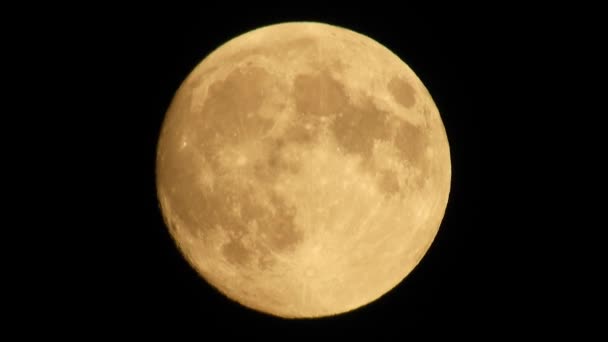 Luna Con Nubes Moviéndose Cielo Primer Plano Vídeo Por Noche — Vídeo de stock