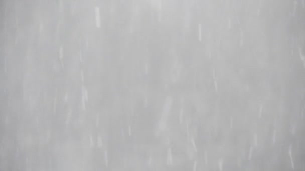 Nieve Pesada Con Árboles Fondo Tiempo Invierno — Vídeo de stock