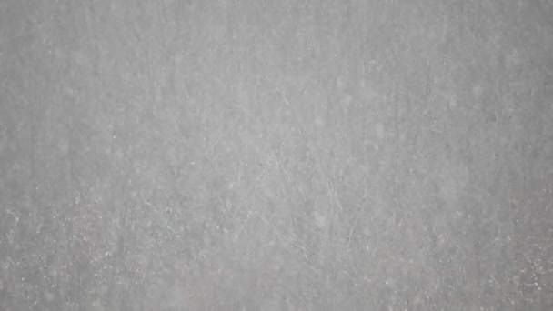 Nieve Pesada Con Árboles Fondo Tiempo Invierno — Vídeo de stock