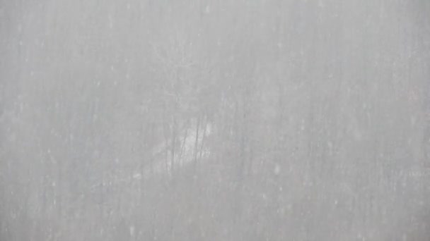 Neve Pesante Con Alberi Sullo Sfondo Periodo Invernale — Video Stock