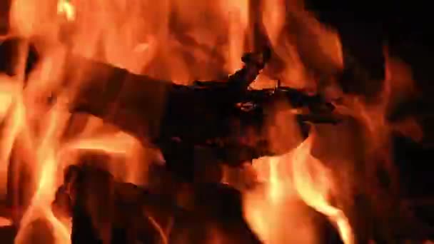 Feu de joie, bûches brûlant avec une flamme orange 
