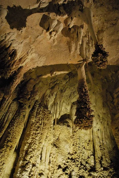 The Lion\'s Tail Stalactites in Carlsbad Caverns