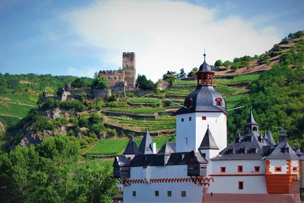 Two Castles Rhine River Germany — Stock Photo, Image