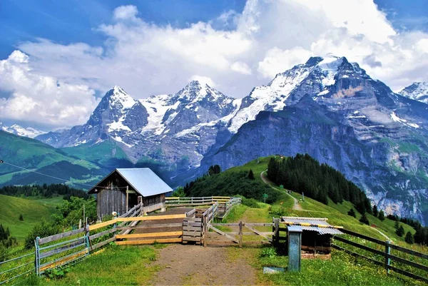 Veduta Delle Alpi Svizzere Sopra Murren Jungfrau Monch Eiger Peaks — Foto Stock