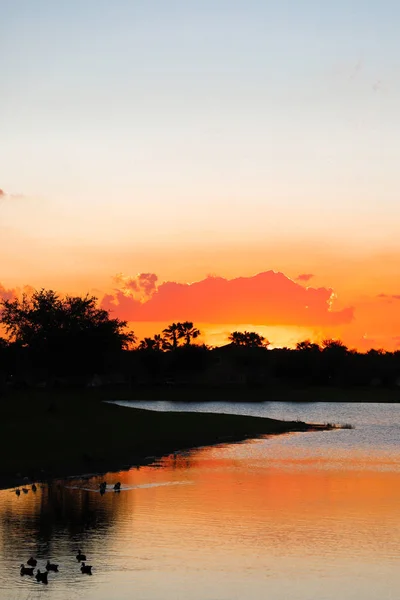 Puesta Sol Sobre Lago Los Árboles Reflejan Agua — Foto de Stock