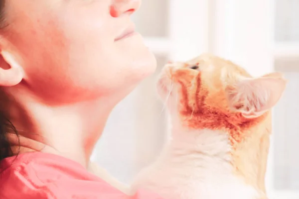 Sevimli kedi tutan kadının yakın çekim görünümü