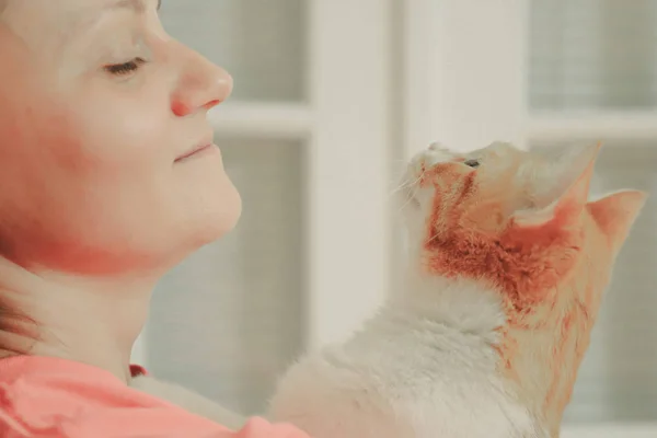 Close View Woman Holding Cute Cat — Stock Photo, Image