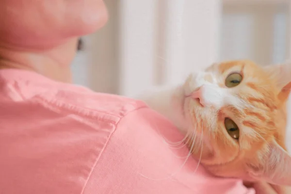 Gatto Rosso Posò Testa Sulla Spalla Una Donna Ritratto Vista — Foto Stock