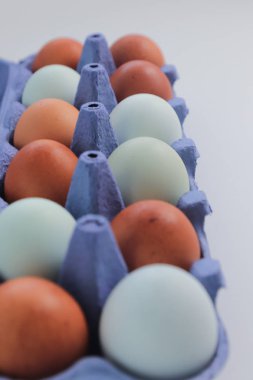 Beyaz arka plan üzerinde izole mavi karton kutu kahverengi tavuk yumurtası.