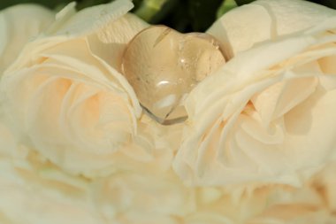 Kalp şeklinde doğal berrak kuvars beyaz güller üzerinde yatıyor. Çakra. Reiki. Düğün