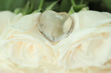 Kalp şeklinde doğal berrak kuvars beyaz güller üzerinde yatıyor. Çakra. Reiki. Düğün