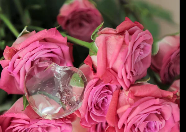 Красивый Прозрачный Природный Кварц Лежит Букетах Розовых Роз Чистый Кварц — стоковое фото