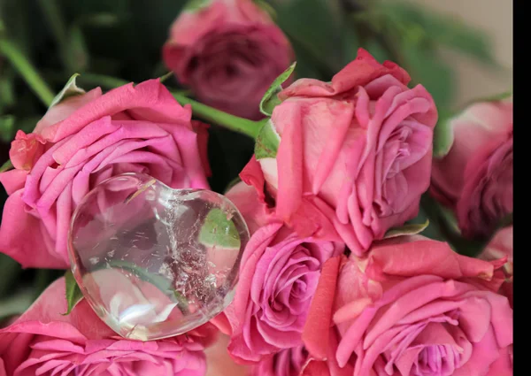 Güzel şeffaf doğal kuvars pembe gül buketleri yatıyor. Kalp şeklinde açık kuvars. Reiki. Çakra. Düğün