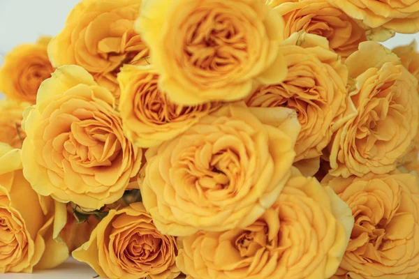 Krásná Kytice Žlutých Růží Bílém Pozadí Detailní Selektivní Zaměření Láska — Stock fotografie