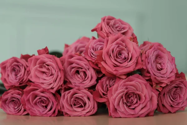 Krásná Kytice Růžových Růží Bílém Pozadí Detailní Selektivní Zaměření Láska — Stock fotografie