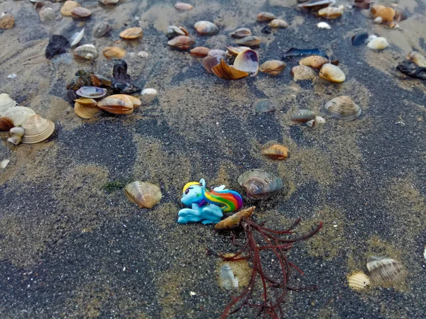 pony baby toy on wet sand