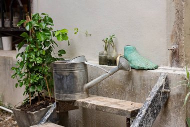 Bahçe Duvar saksı ve bahçe aksesuarları soya fasulyesi için yakın