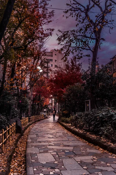Şehre giden lider bir yol