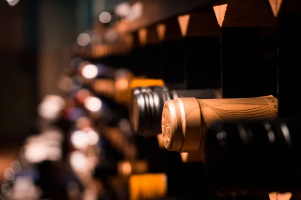 Adega com um monte de garrafas de vinho — Fotografia de Stock