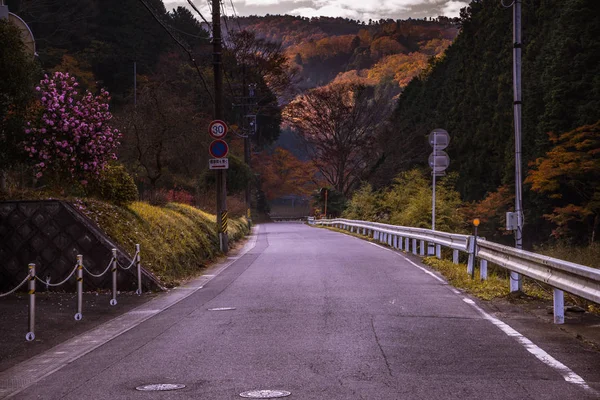 Jesienny las pełen czerwonych i żółtych liści z promieniami słonecznymi zejścia na górskiej drodze — Zdjęcie stockowe
