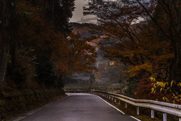 Bir dağ yolunda aşağı gelen güneş ışınları ile kırmızı ve sarı yaprakları dolu Sonbahar ormanı
