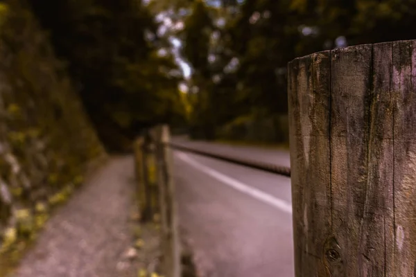 Dağa giden eski yol, unutulmuş, terk edilmiş