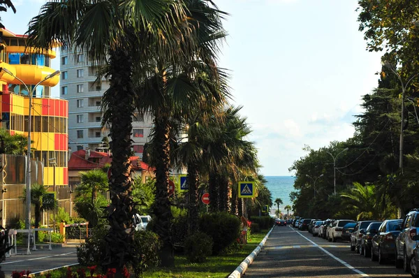 Straat Van Het Resort Stad Sochi Met Uitzicht Zwarte Zee — Stockfoto